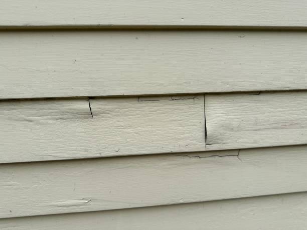 Best Same-Day Junk Removal Services  in Gothenburg, NE
